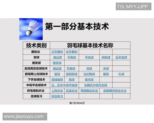 南京羽毛球队战术解析:灵活转换体系的应用与实践探讨